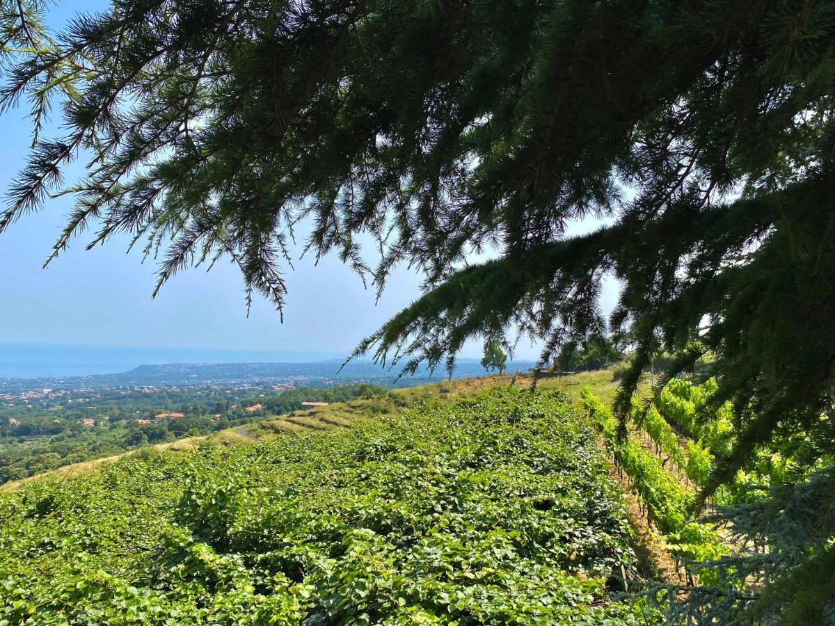 Tenuta Kiwi Dell'Etna Мило Экстерьер фото