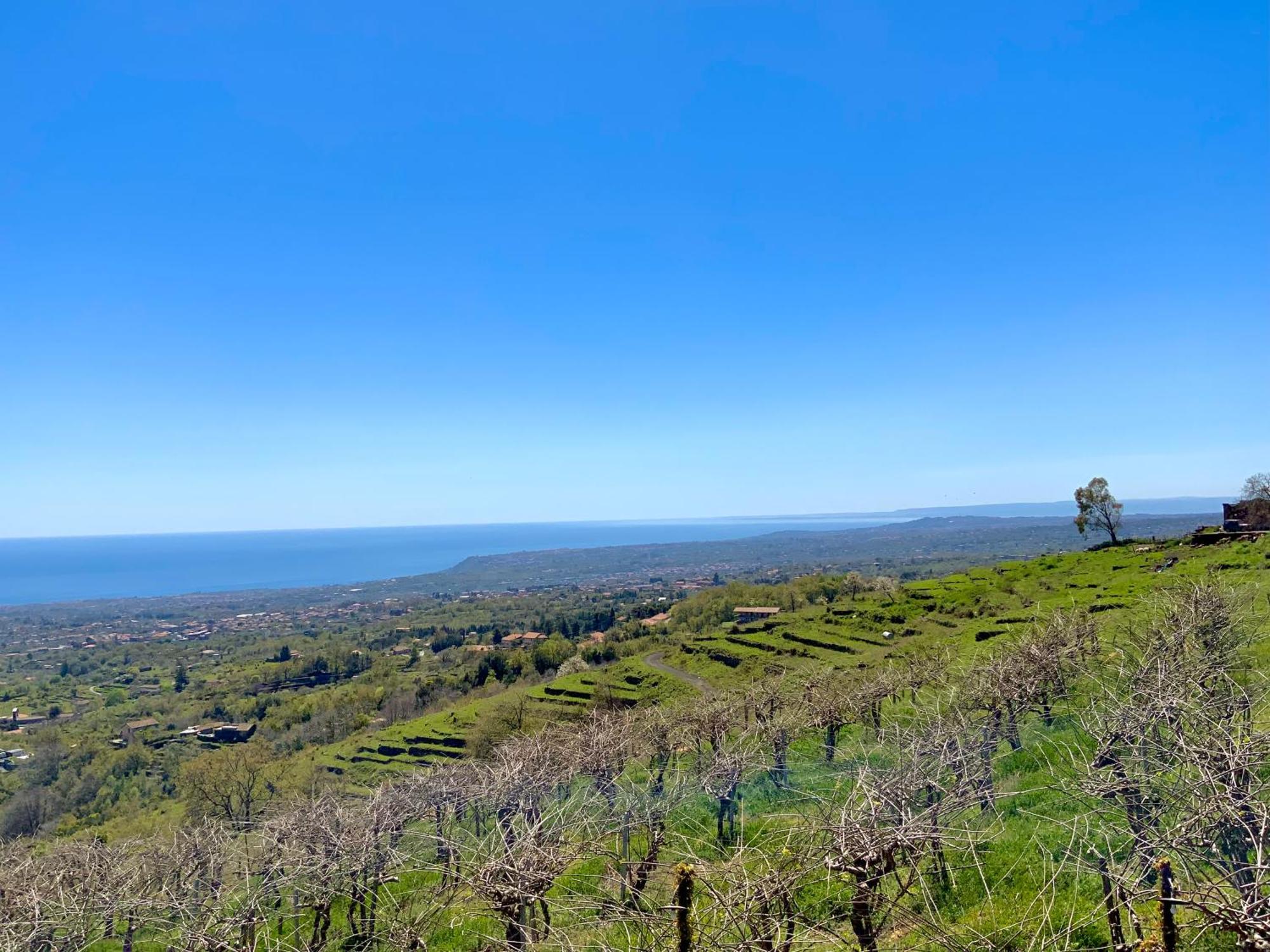 Tenuta Kiwi Dell'Etna Мило Экстерьер фото
