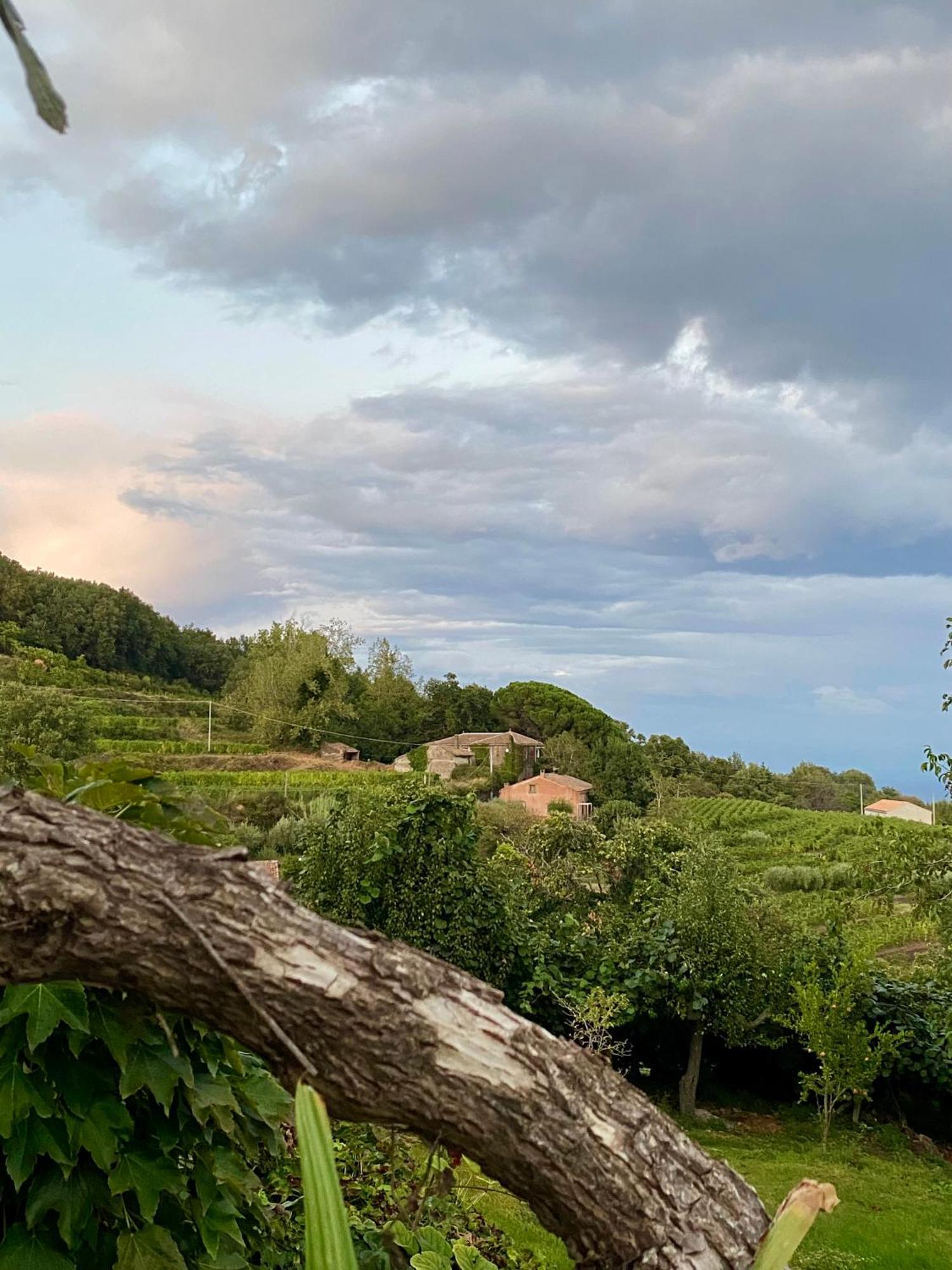 Tenuta Kiwi Dell'Etna Мило Экстерьер фото